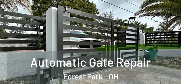 Automatic Gate Repair Forest Park - OH