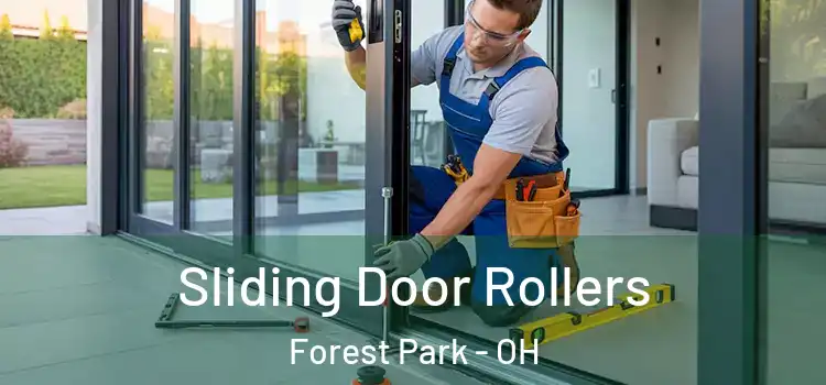 Sliding Door Rollers Forest Park - OH