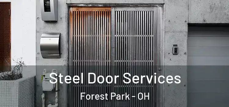 Steel Door Services Forest Park - OH