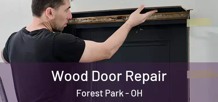 Wood Door Repair Forest Park - OH